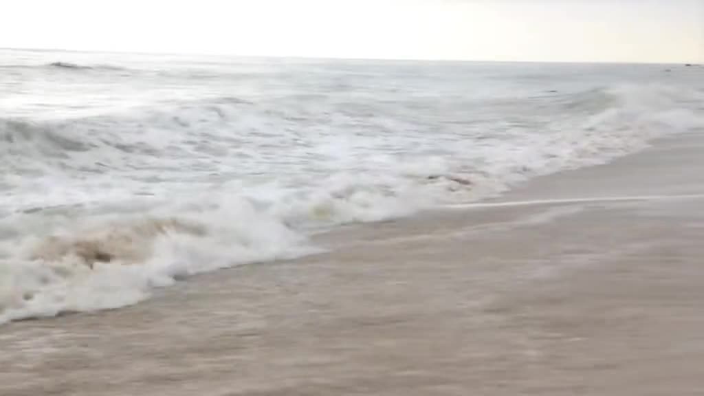 Kendall Jenner BTS Bikini Modeling Photoshoot Video Leaked