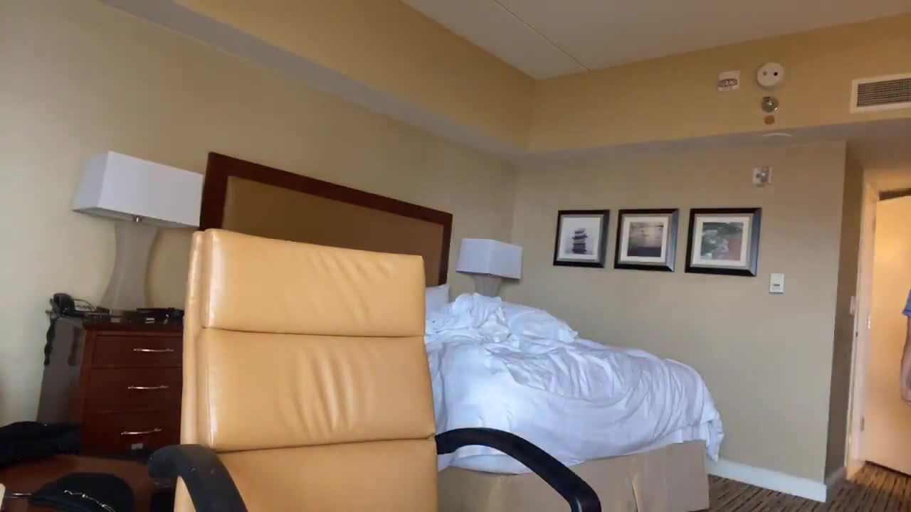 Pokimane Ass See Through Pyjamas Video Leaked