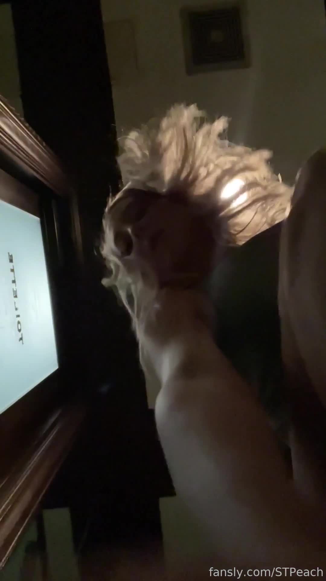 STPeach Public Toilet Skirt Tease Fansly Video Leaked