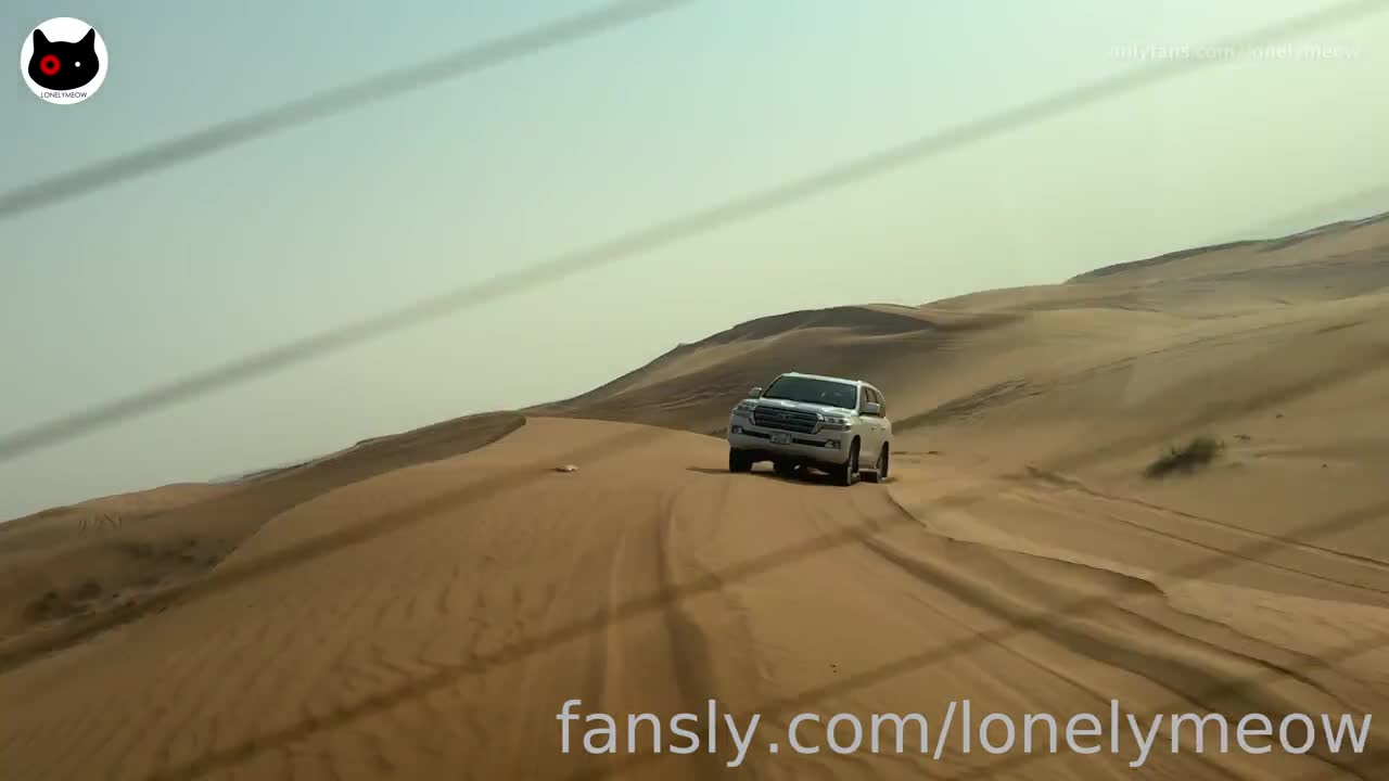 Lonely Meow – Habibi In The Desert