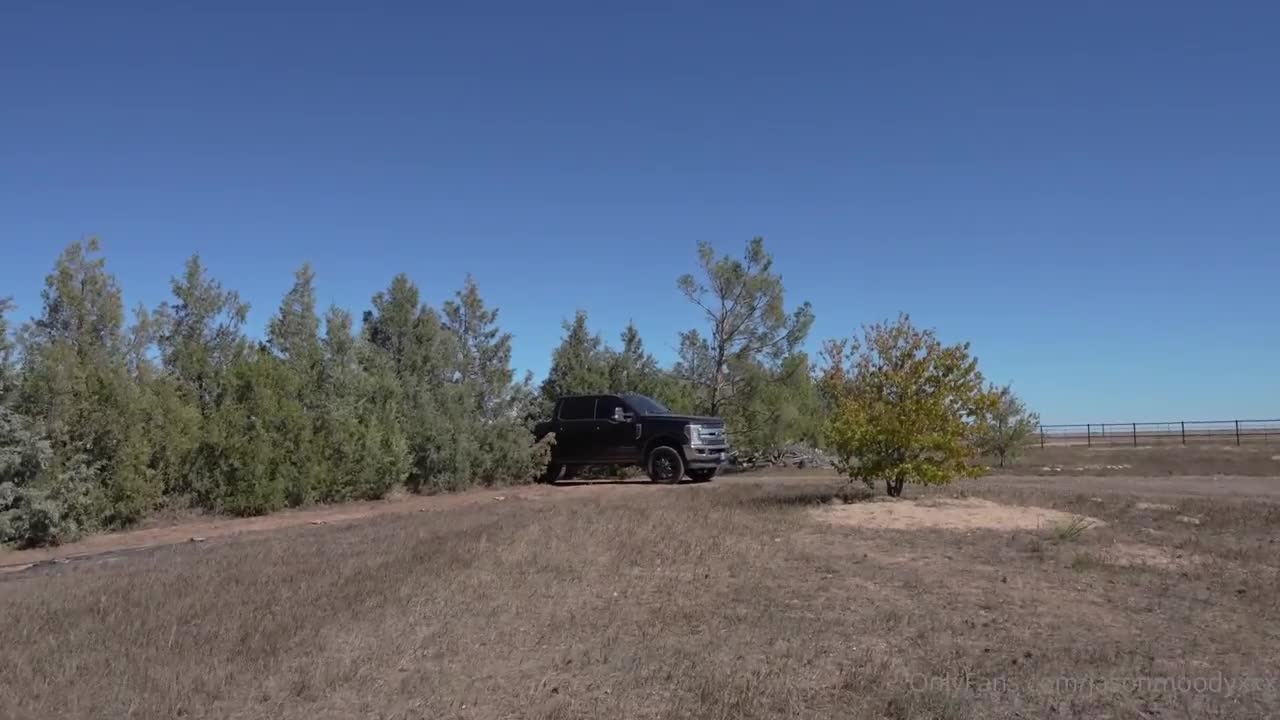 Luna Rose Hottie Stranger Stuck On Trucks Window So I Fucked Her