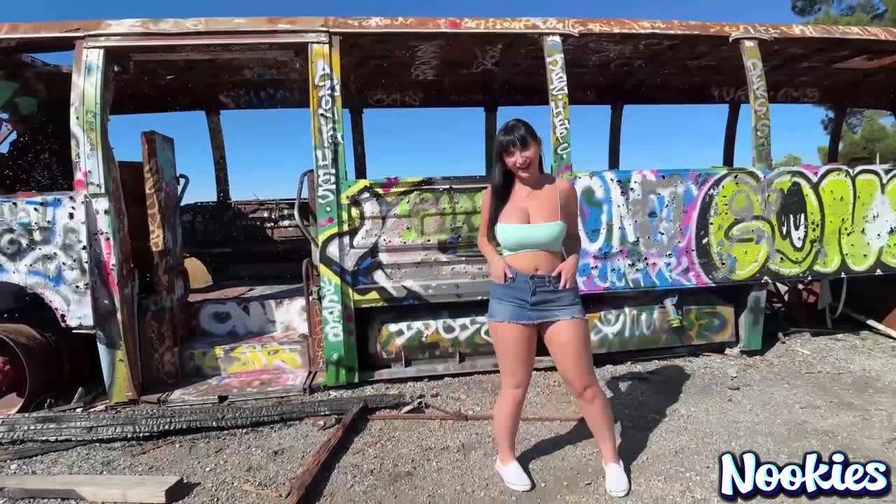 Aleksa Mink OnlyFans leaked Aleksa Mink Risky Rendezvous POV Sex in Public on HDthot
