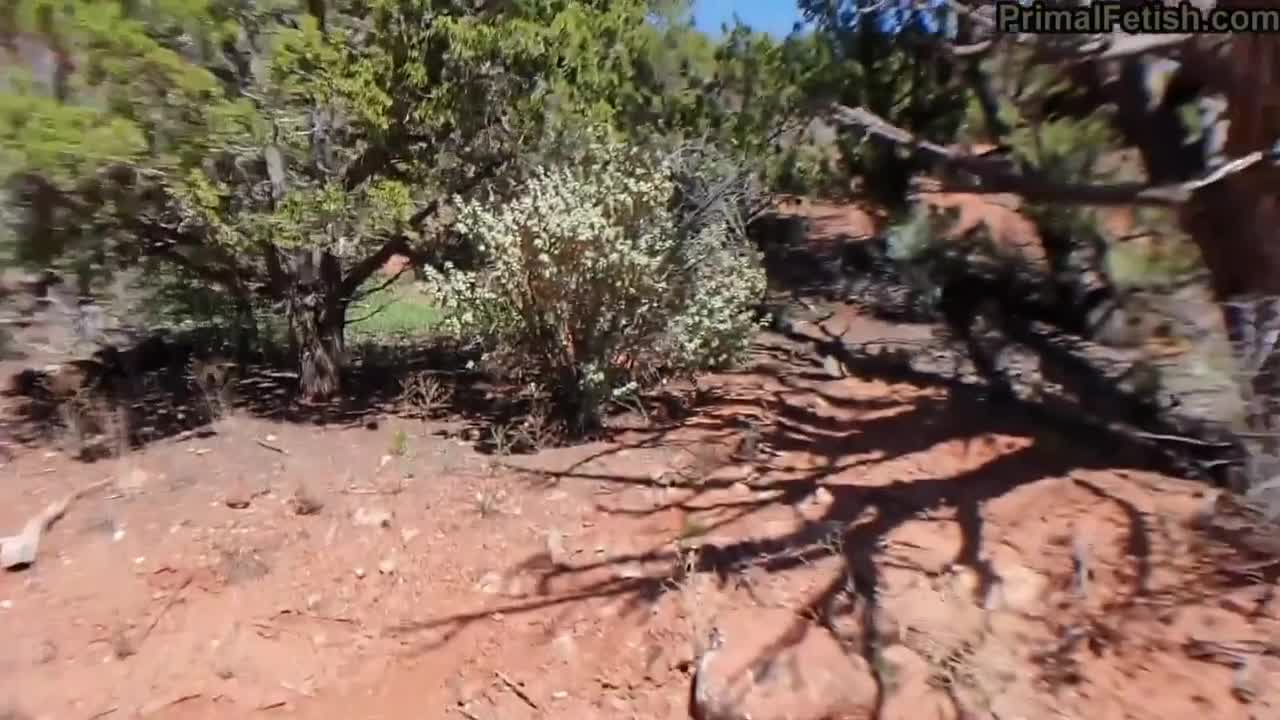 Blake Blossom OnlyFans leaked Blake Blossom Sucked & Fucked Step Sister On Camping on HDthot