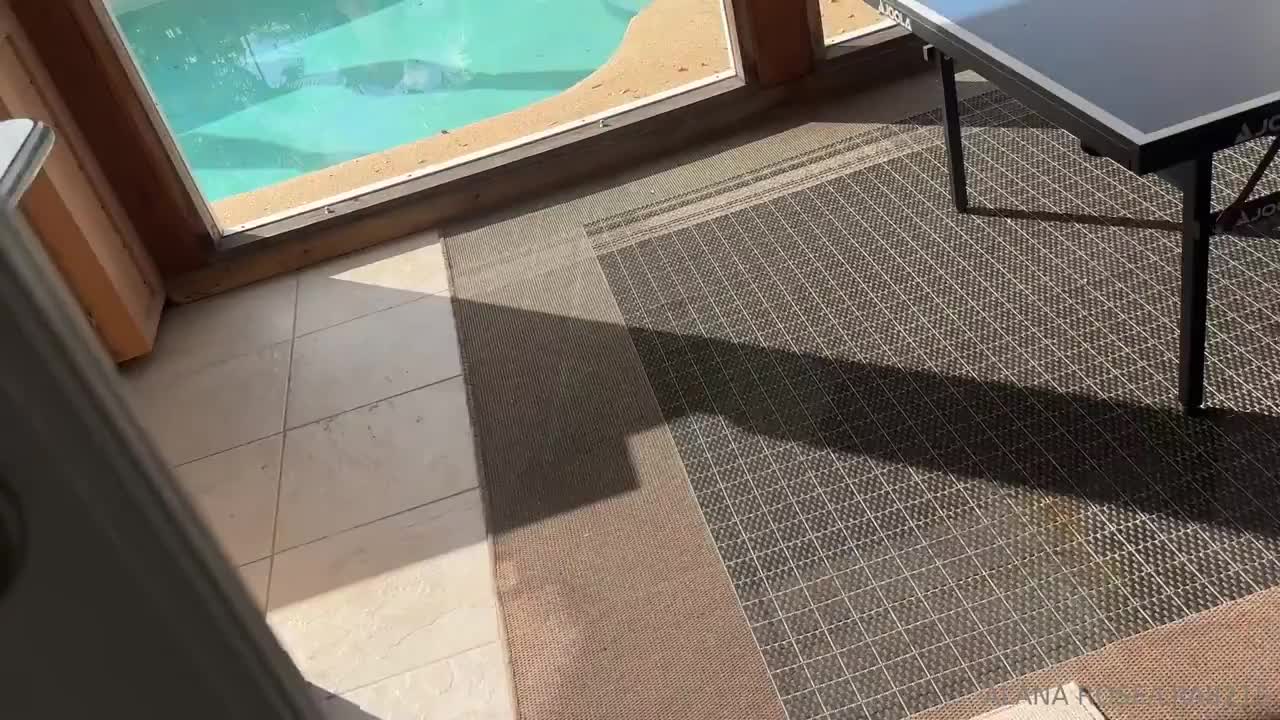 Alana Rose – Hot Poolside Creampie POV Sex