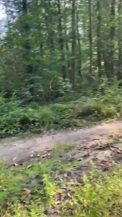 Callmeslooo Sex In Public Video Leaked