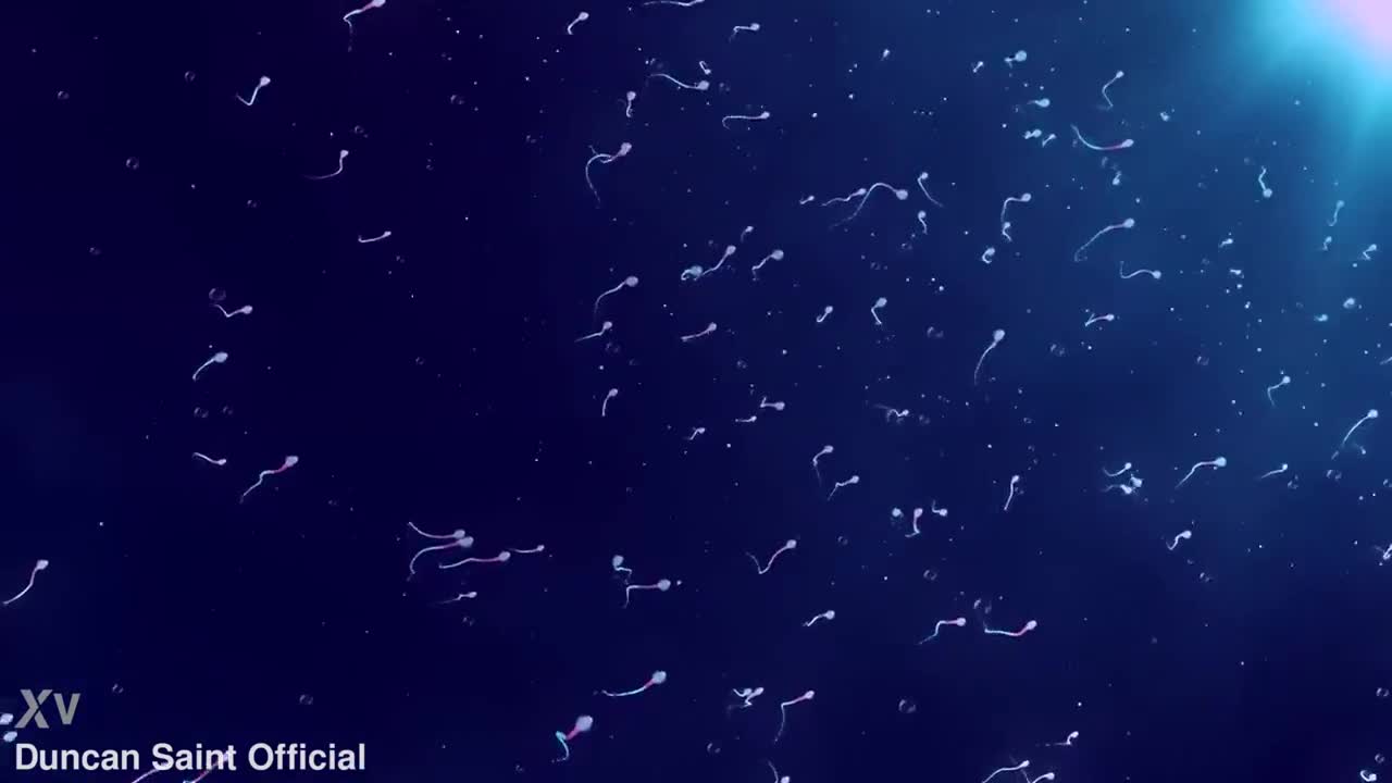 Kourtney Love Space Slut Extracts My DNA Straight Into Her Pussy