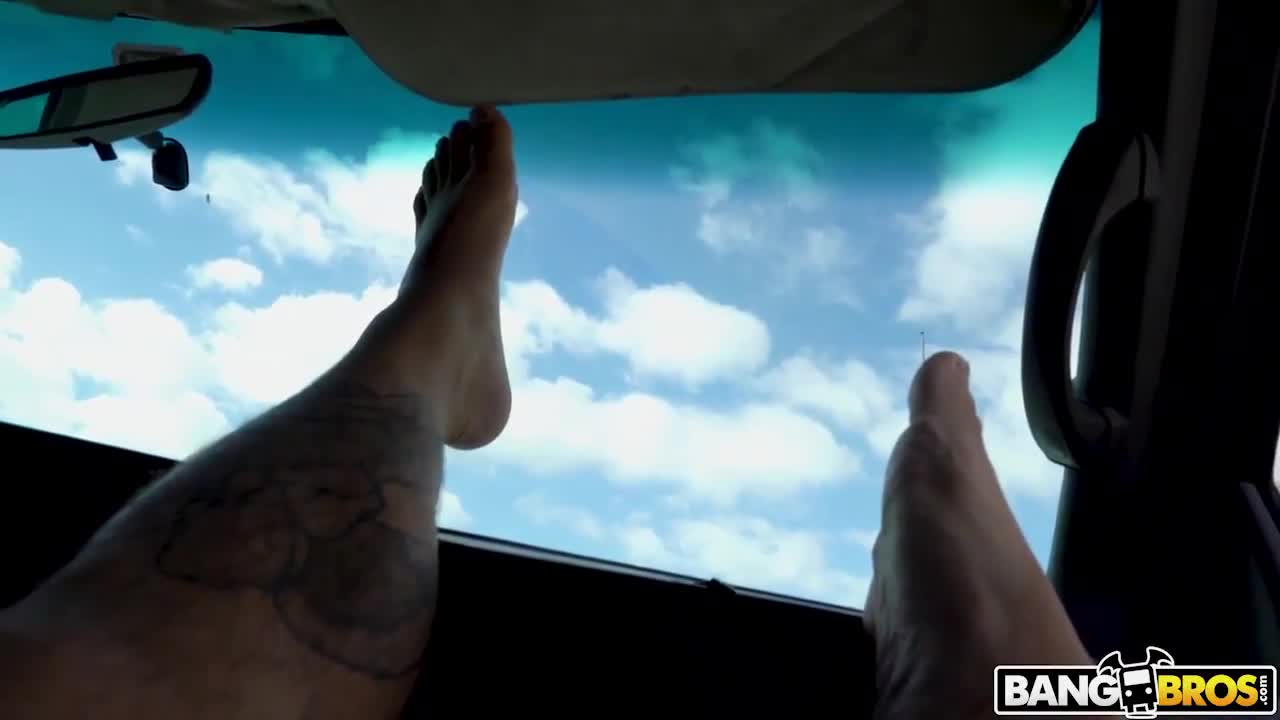 Lexxi Steele Gets Picked Up And Fucked In BangBus