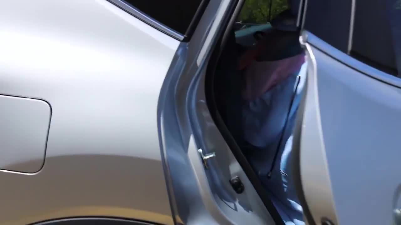 Lana Rain Masturbates In The Car