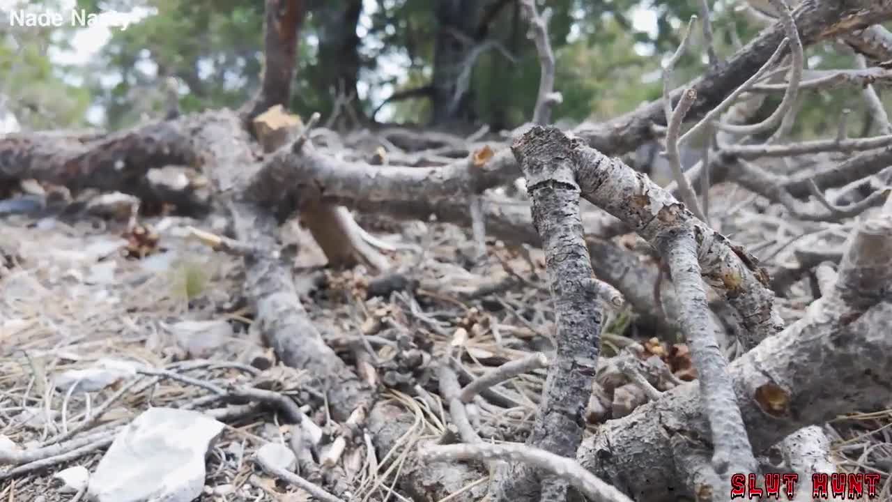 Your Lady Rain Gets Filled with Cum Piss In Her Asain Mouth On Jungle Fucking