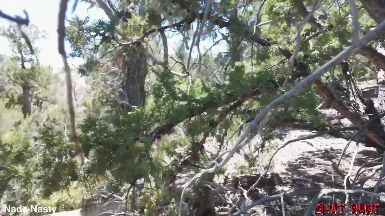 Danae Mari Bimbo Slut Gets Filled with Sperm In The Jungle NEW Slut Hunting Ep With Nade Nasty
