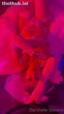 Darshelle Stevens BG Cupid Video