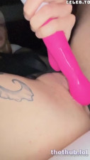 sallydinosaur