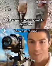 Lpppp