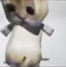 xzzxczxxxxzc